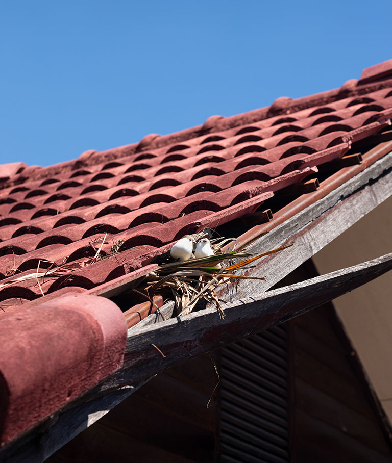 Couverture, charpente, ravalement de façade, peinture exterieure, zinguerie et Maçonnerie à Le Raincy (93340) en Seine-Saint-Denis (93)